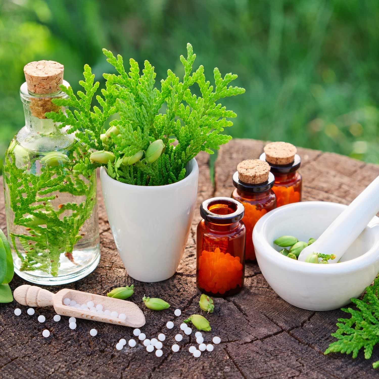 Homéopathie 6